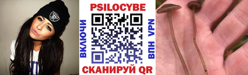 Псилоцибиновые грибы мицелий Краснокаменск